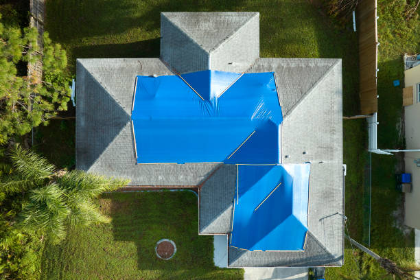 Best Solar Panel Roofing Installation  in Langley, SC