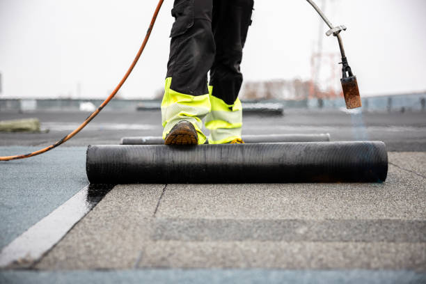 Best Metal Roofing Installation  in Langley, SC